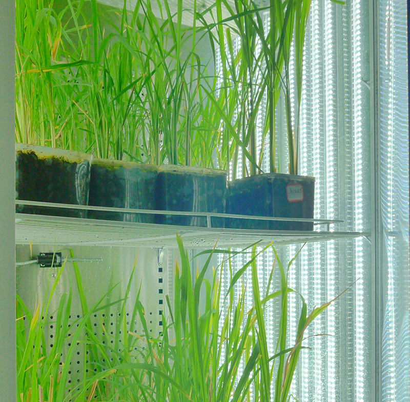 寧波江南儀器廠_人工氣候培養箱,光照培養箱,植物生長培養類箱體