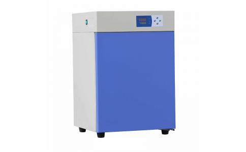 DNP型電熱恒溫培養箱